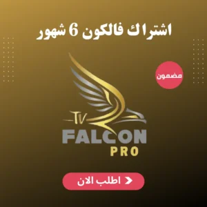 اشتراك فالكون 6 شهور