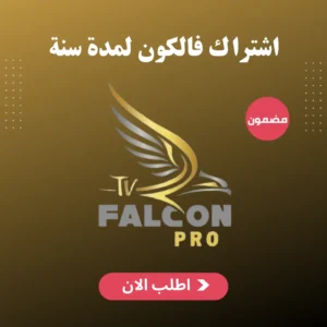 اشتراك فالكون لمدة سنة ( الدفع بعد التشغيل )