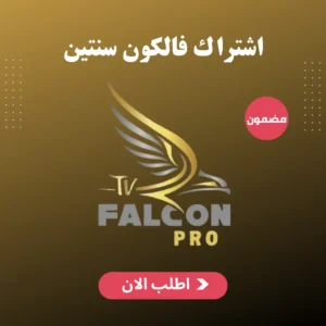 اشتراك فالكون سنتين